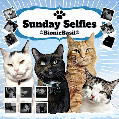 Sunday Selfies Banner ©BionicBasil® January 2024