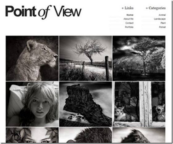 Point Of View | premium blogger template