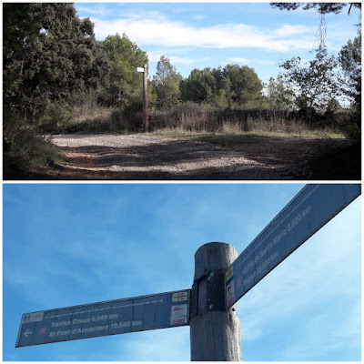 Prenafeta a Santes Creus GR-175 Ruta del Cister, camí del Mas d'en Roig en direcció a Santes Creus