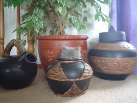 funny cat pictures, cat inside a pot
