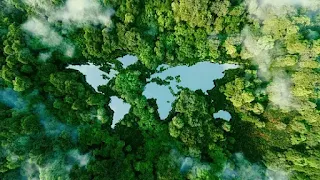 All the continent image in the middle of a forest