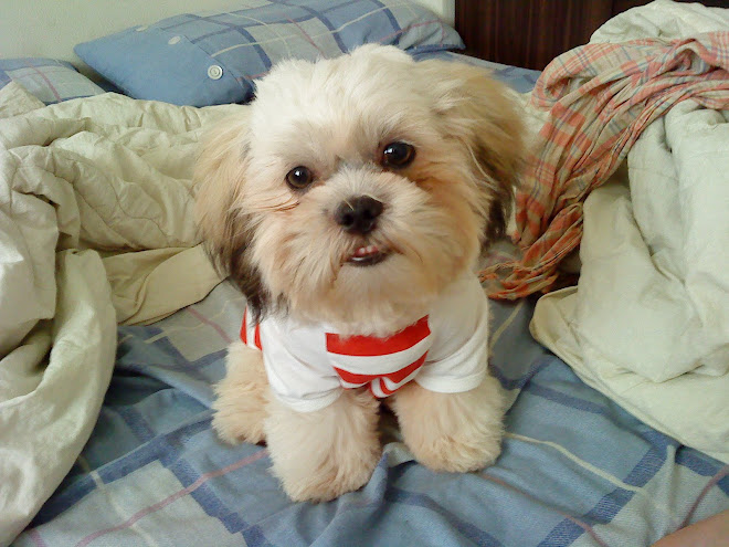My Baby ♥ YOJI ♥