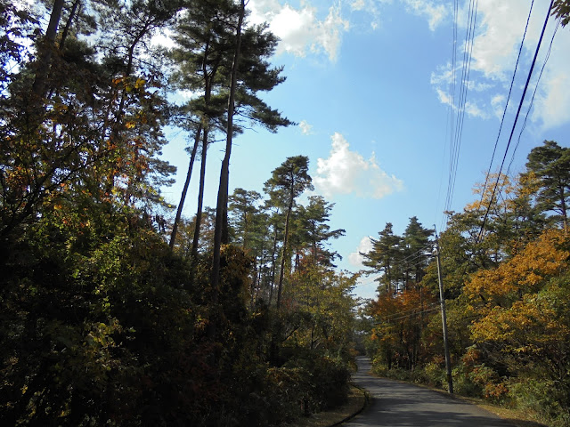 別荘地の紅葉