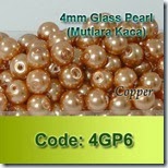 4GP6 copy
