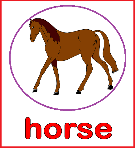 Animal Flashcards - Horse