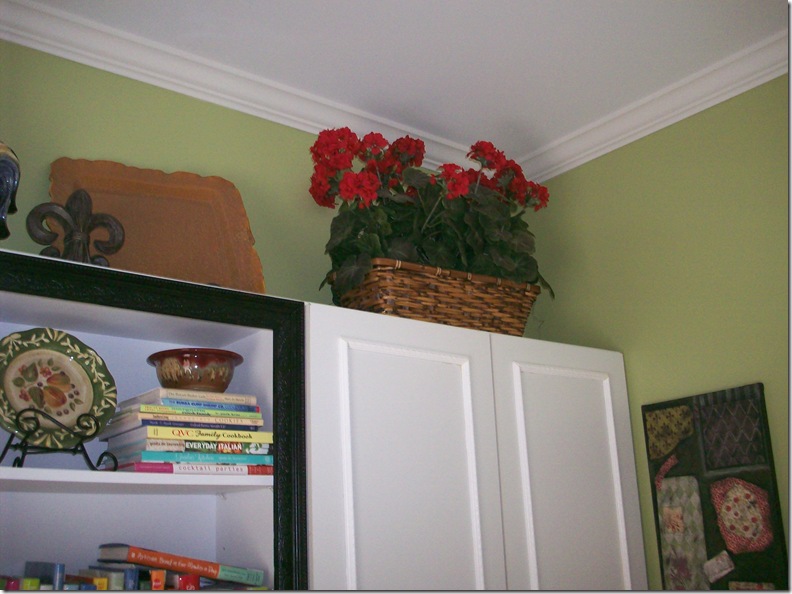geraniums 005