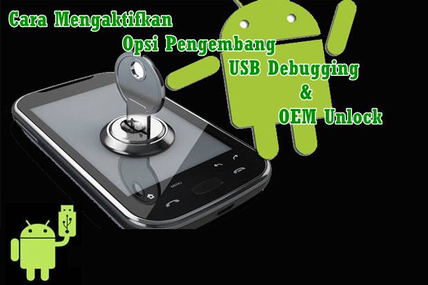 Cara Mengaktifkan Opsi Pengembang, USB Debugging dan OEM Unlock Pada Android