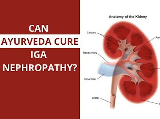 IgA Nephropathy Ayurvedic Treatment
