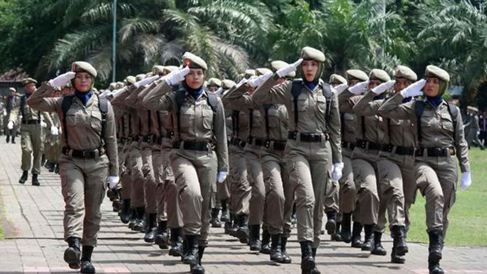 Satuan Polisi Pamong Praja