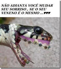 image0055