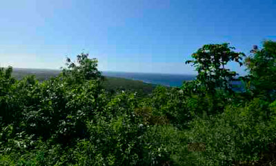 View from Pumpkin Hill Utila