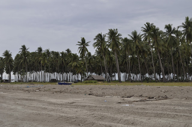 Arena Island : A Gorgeous Island Resort in Palawan, Philippines