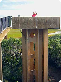 marsha-in-tower