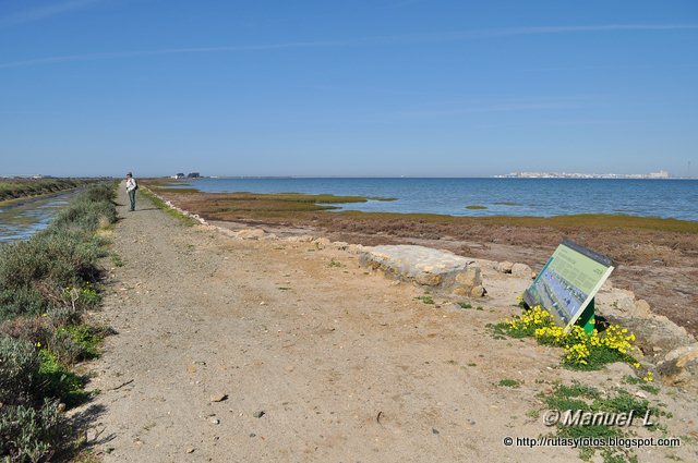 Salina Dolores y molino de marea de La Roqueta