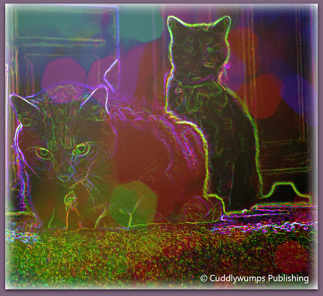 The Real Cats Outlined in Light