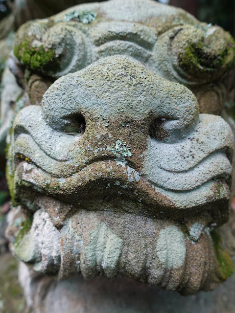 鳥取県西伯郡大山町坊領　佐間神社