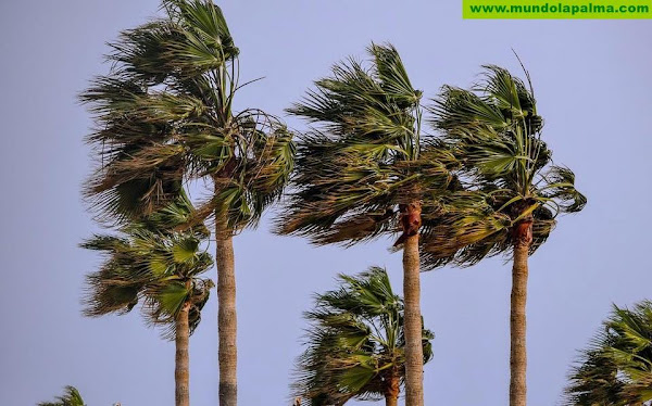 El Gobierno actualiza la situación de alerta por viento en Tenerife y La Palma