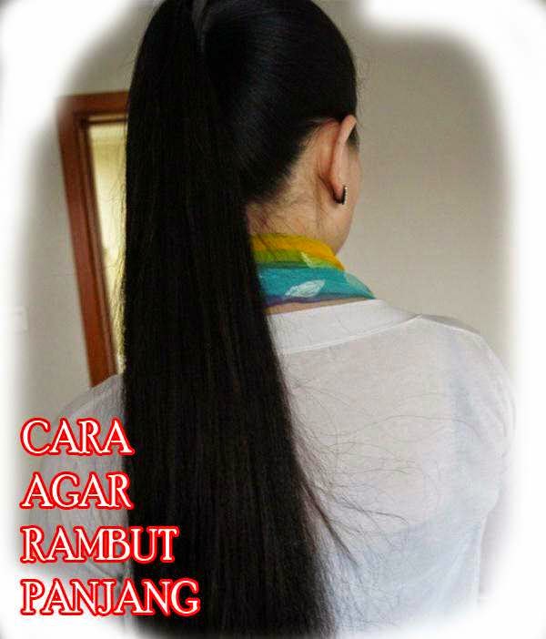 10 Cara Membuat Rambut  Cepat  Panjang  Dan Hitam Secara Alami