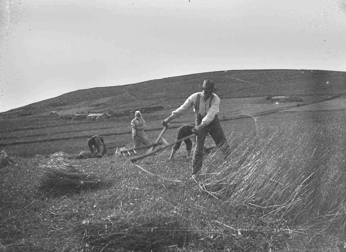 Reader in Orkney: The Way We Were in Orkney