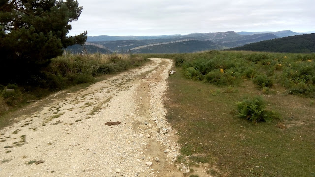 Ojo Guareña MTB