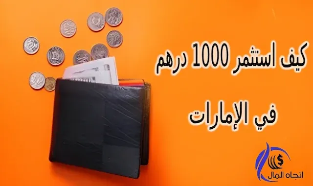 استثمار 1000 درهم في الإمارات