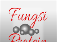  Fungsi protein