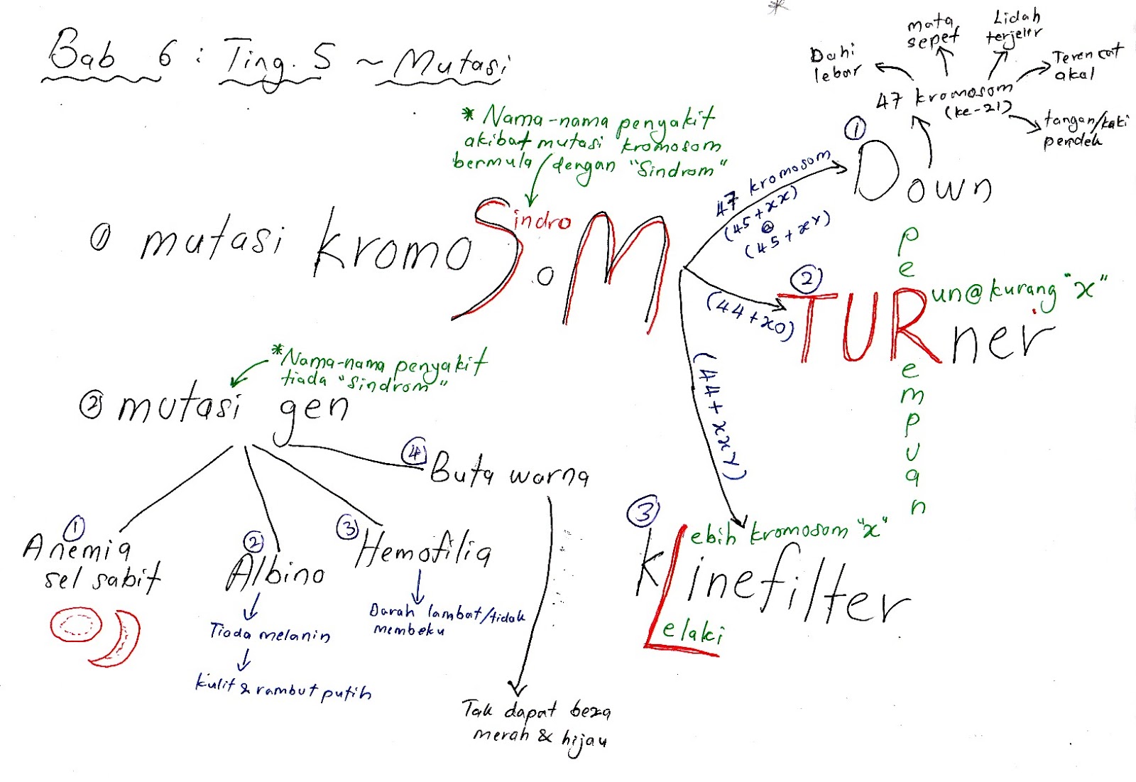 Biologi A++