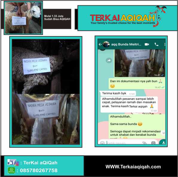 Rekomendasi Aqiqah Bekasi, Paket Aqiqah Bekasi Utara, Aqiqah Bekasi Timur, Harga Kambing Aqiqah Bekasi, Aqiqah Bekasi Utara, Paket Aqiqah Bekasi Timur, Aqiqah Bekasi Barat, Bani Aqiqah Bekasi, Permata Aqiqah Bekasi, Rumah Aqiqah Bekasi, Amanah Aqiqah Bekasi, Dapur Aqiqah Bekasi, Aqiqah Bekasi Selatan, Jual Kambing Aqiqah Bekasi, Aqiqah Murah Bekasi, Paket Aqiqah Murah Bekasi, Catering Aqiqah Bekasi, Kambing Aqiqah Bekasi, Jasa Aqiqah Bekasi, Harga Aqiqah Bekasi, Paket Kambing Aqiqah Bekasi Timur, Catering Aqiqah Bekasi Timur, Aqiqah Bekasi, Paket Aqiqah Bekasi