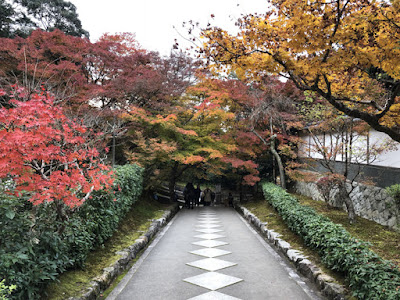 南禅寺の紅葉