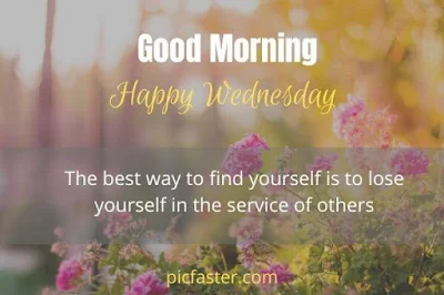 New - Good Morning Happy Wednesday Images With Quotes [2020]