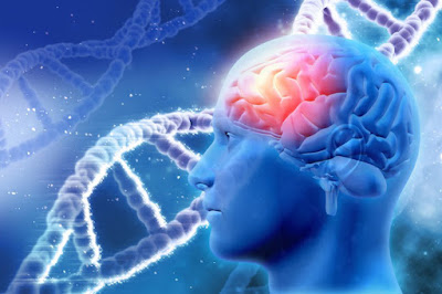 Neurodegenerative Disorder Therapeutics Market