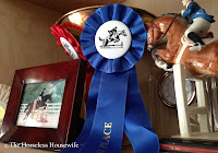 Hunter/Jumper, Horse, trophies, winning,riding horses