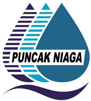 Jawatan kosong Puncak Niaga