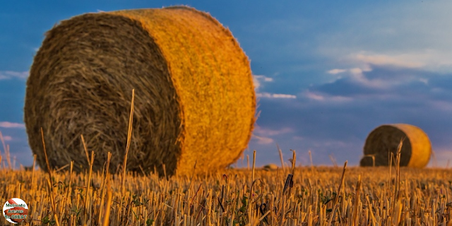 Featured in the article: "Why You Should Try To Be A Rainbow In Someone's Cloud". Reap the harvest. You Reap what you sow.