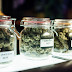 Medical Marijuana Doctors can Introduce you to a Favorable Marijuana Experience