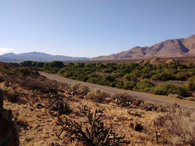 Looking Southeast along San Felipe Creek