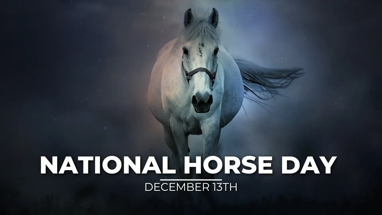 National Horse Day - HD Images and Wallpapers