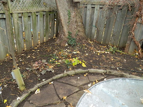 Monarch Park Toronto Fall Cleanup After by Paul Jung Gardening Services--a Toronto Gardening Services Company