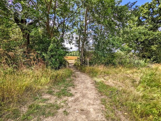 Head S at the junction, now on Much Hadham bridleway 16