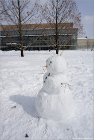 Muñeco de Nieve en Cambridge después de la Tormenta Skylar 