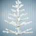 Feather Tree Obsession