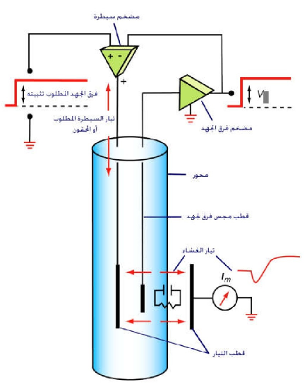 رسم تخطيطي يوضح كيفية عمل جهاز ربط الفولتية.