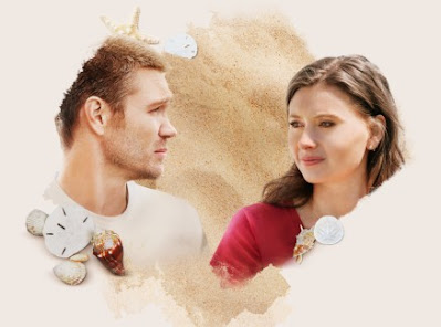 Hallmark's "Sand Dollar Cove" features Chad Michael Murray and Aly Michalka and is an adaptation of Nancy Naigle's novel.