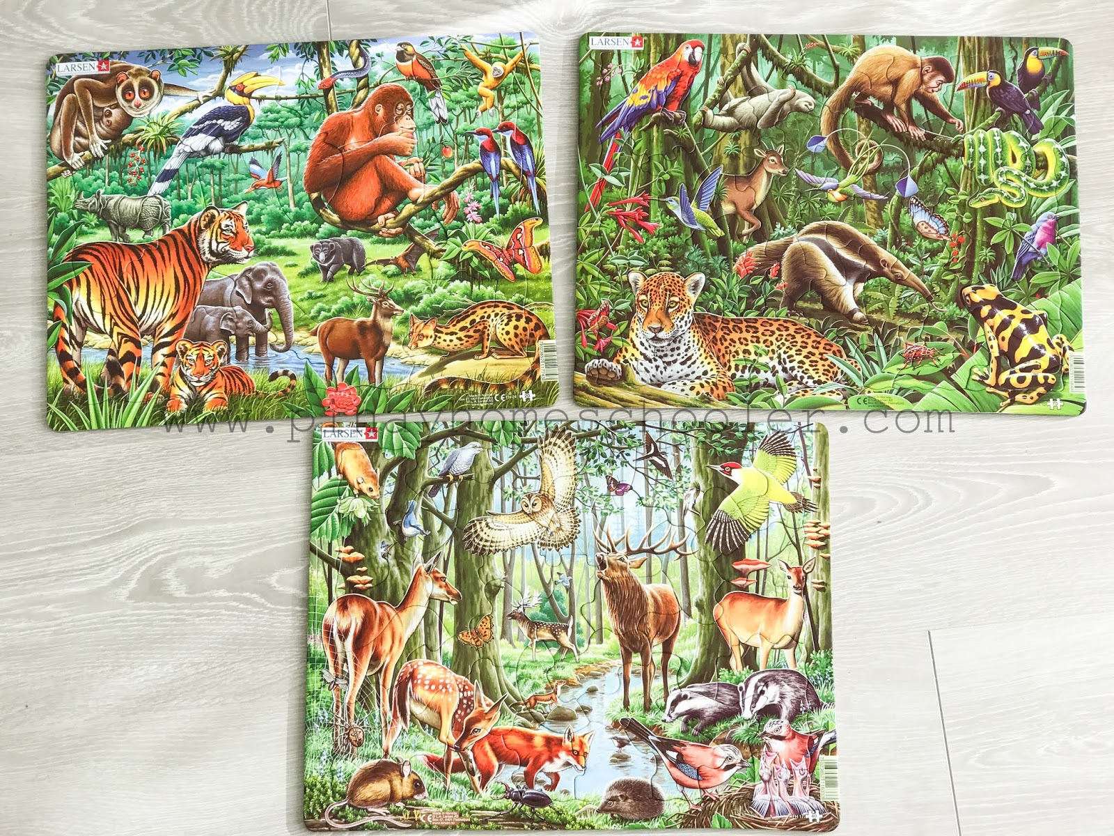 Larsen Puzzles