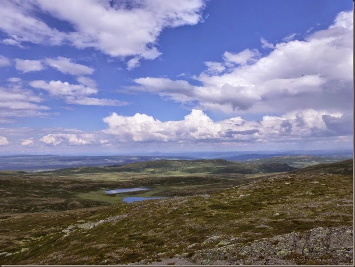 Golsfjellet 103
