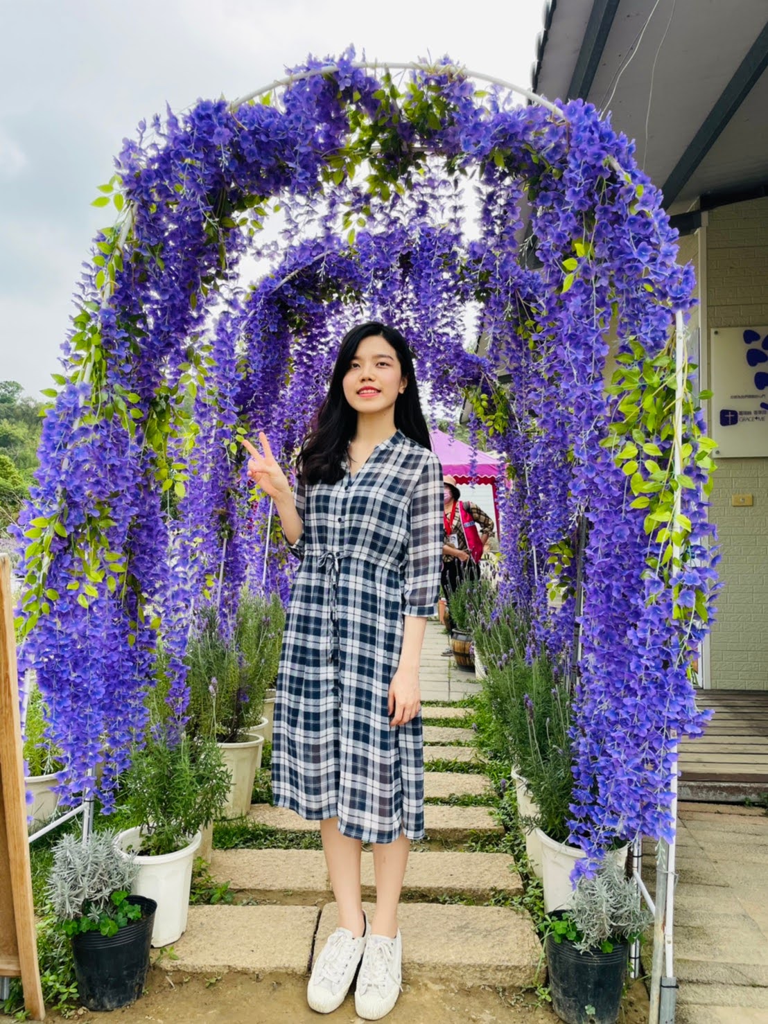 苗栗頭屋景點 薰衣草花海 葛瑞絲香草田 玫瑰 浪漫約會、網美打卡