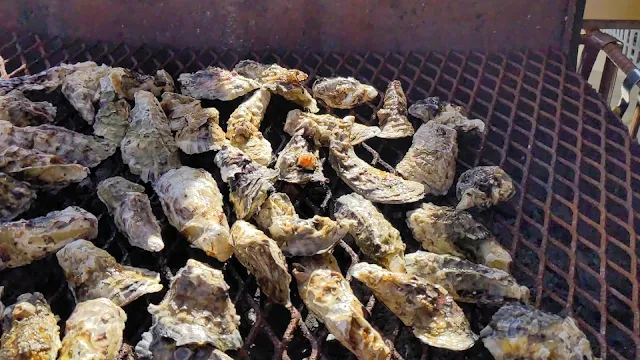 海上カキ焼幸栄丸の牡蠣！