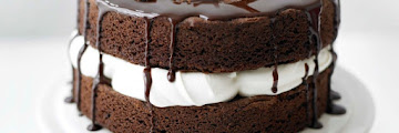 Chocolate Sponge Cake