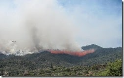 Sequoia forest fire