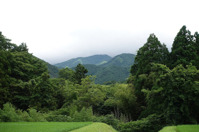 種原集落の田園から大山を望む